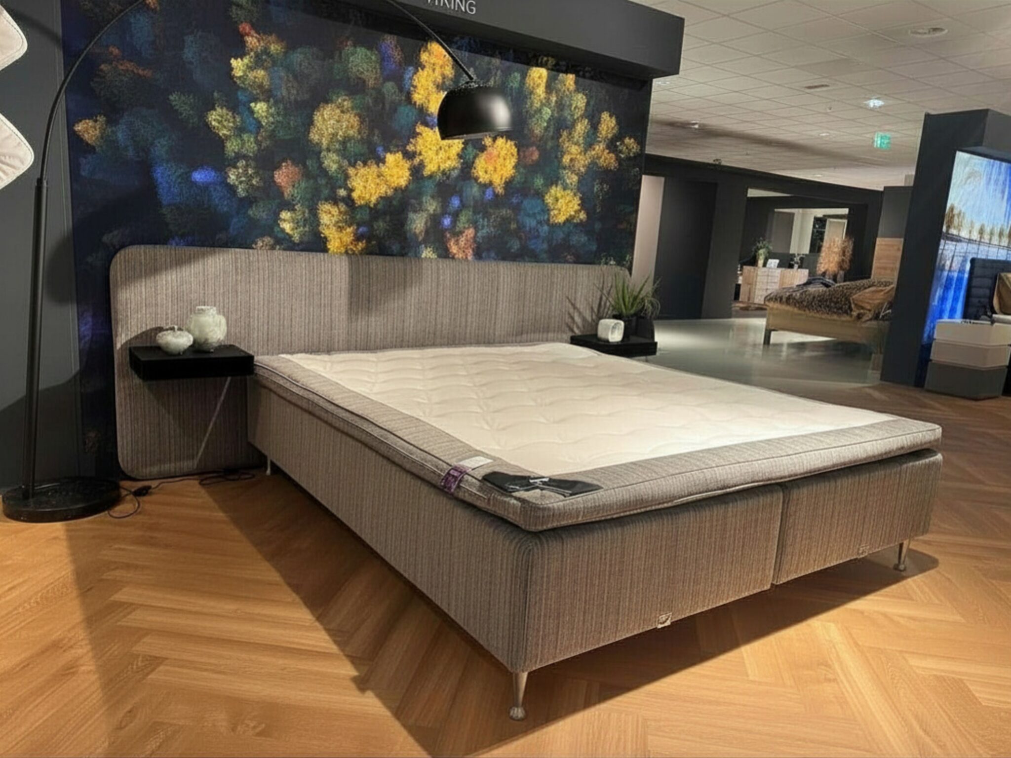 showmodel viking birka frame plus